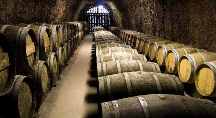 barriqyes wine cellar