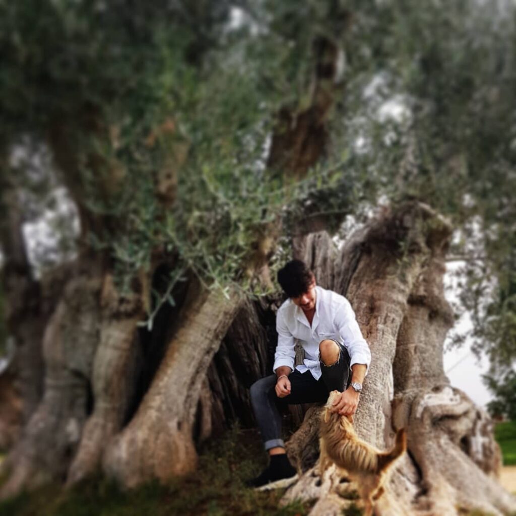 Olive Oil in Puglia